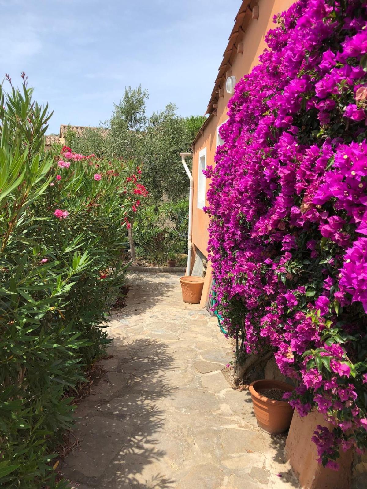 Maison Familiale Sur La Presqu'ile De Giens * Hyeres
